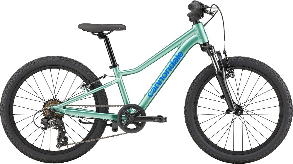 Cannondale Kids Trail 20 C2 bicycle — for sale at Brooks Bike Shop, professionally assembled and ready to ride