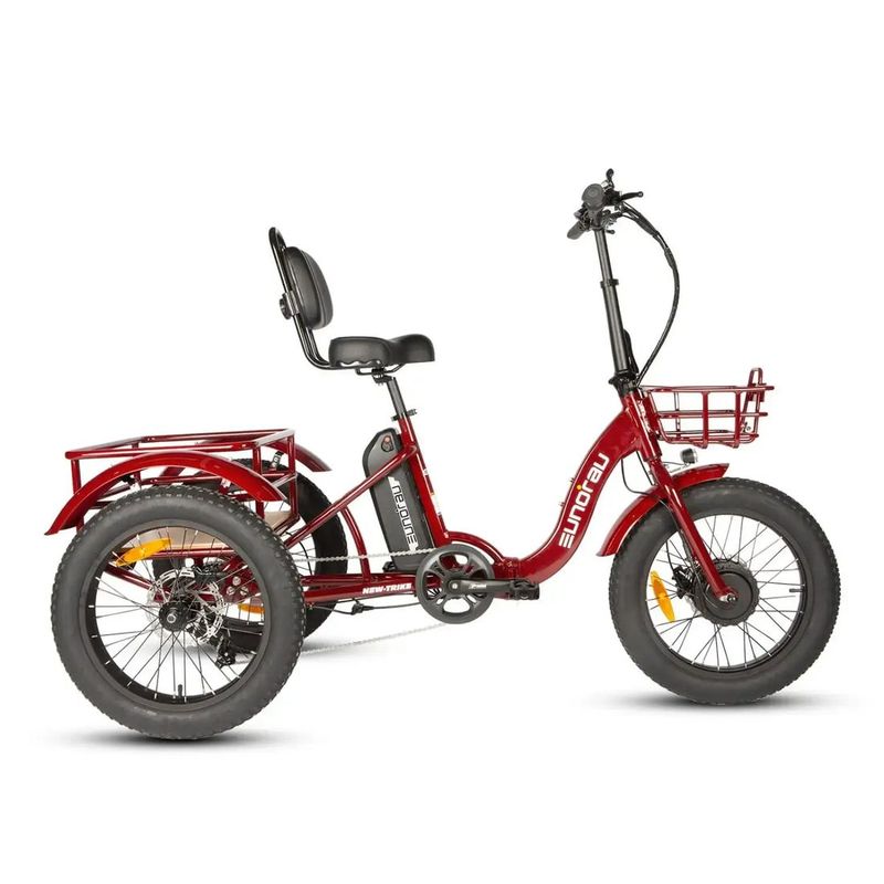 Eunorau NEW-TRIKE 2.0 tricycle — for sale at Brooks Bike Shop, professionally assembled and ready to ride