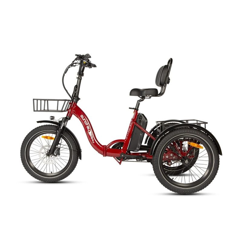 Eunorau ONE-TRIKE 2.0 tricycle — for sale at Brooks Bike Shop, professionally assembled and ready to ride