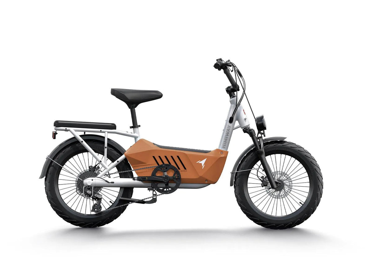 Himiway C3 electric bike — for sale at Brooks Bike Shop, professionally assembled and ready to ride