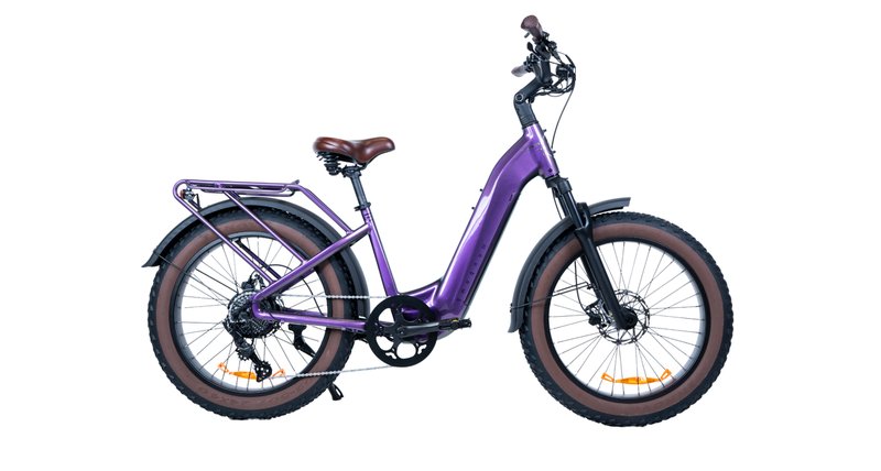 Magnum Bliss electric bike — for sale at Brooks Bike Shop, professionally assembled and ready to ride