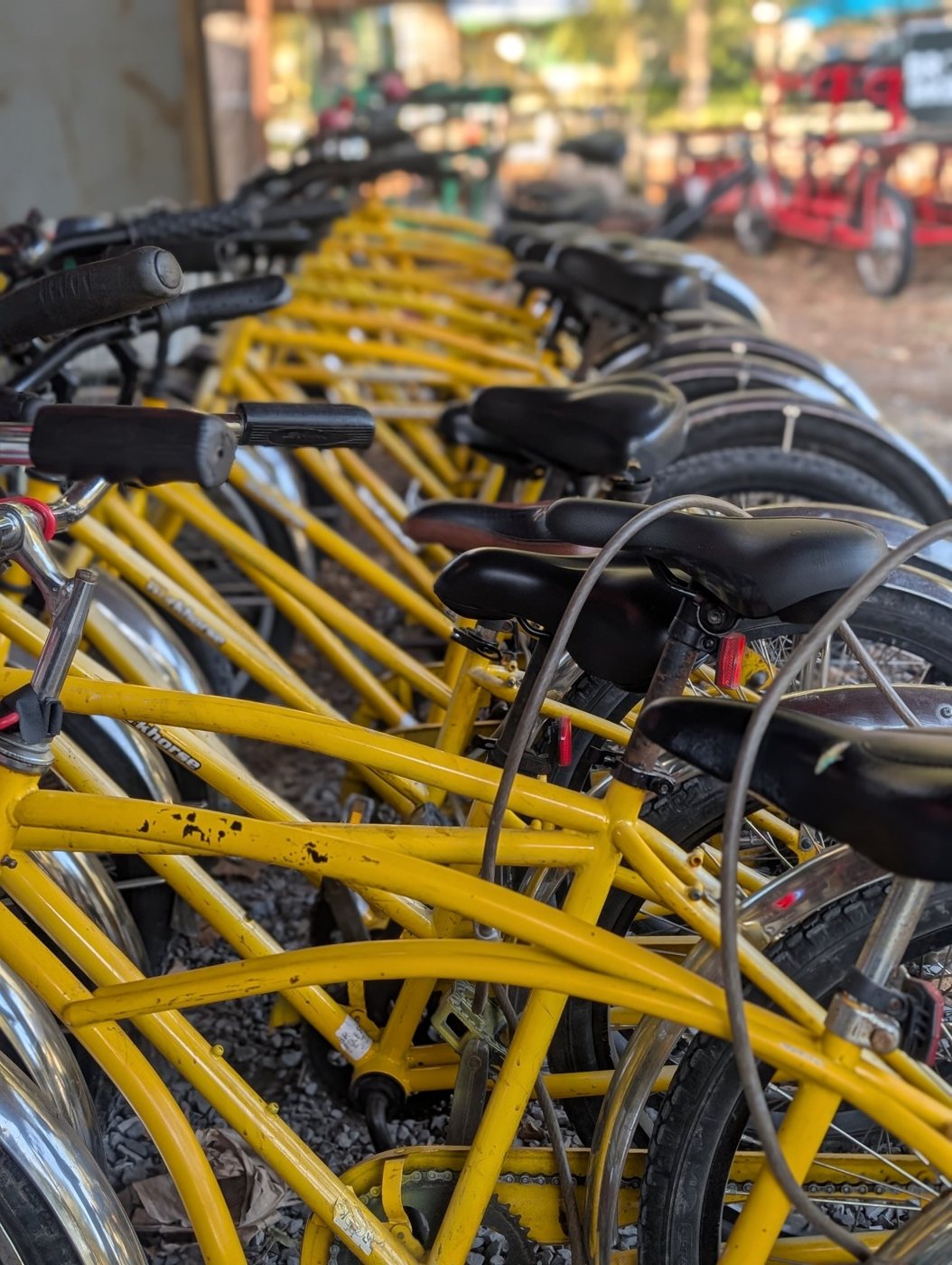 The Brooks rental fleet lined up and ready for a group ride