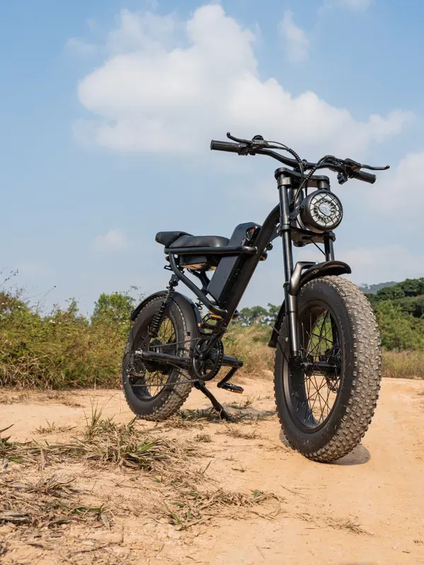 E-bikes for sale in Louisiana at Brooks Bike Shop — fat-tire electric bike, delivered built and ready to ride